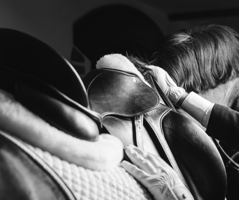 Saddles & Accessories