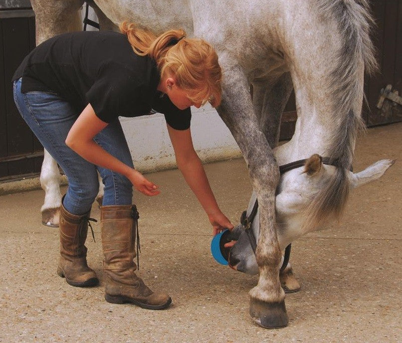 Horslyx Original Mini Vitamin & Mineral Lick 650gm