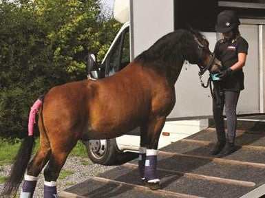 Horslyx Original Mini Vitamin & Mineral Lick 650gm