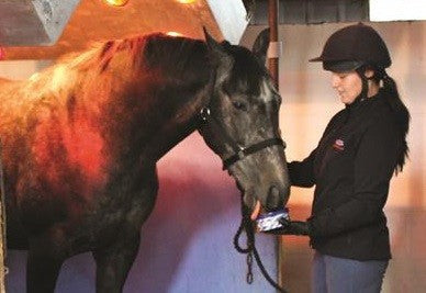 Horslyx Original Mini Vitamin & Mineral Lick 650gm