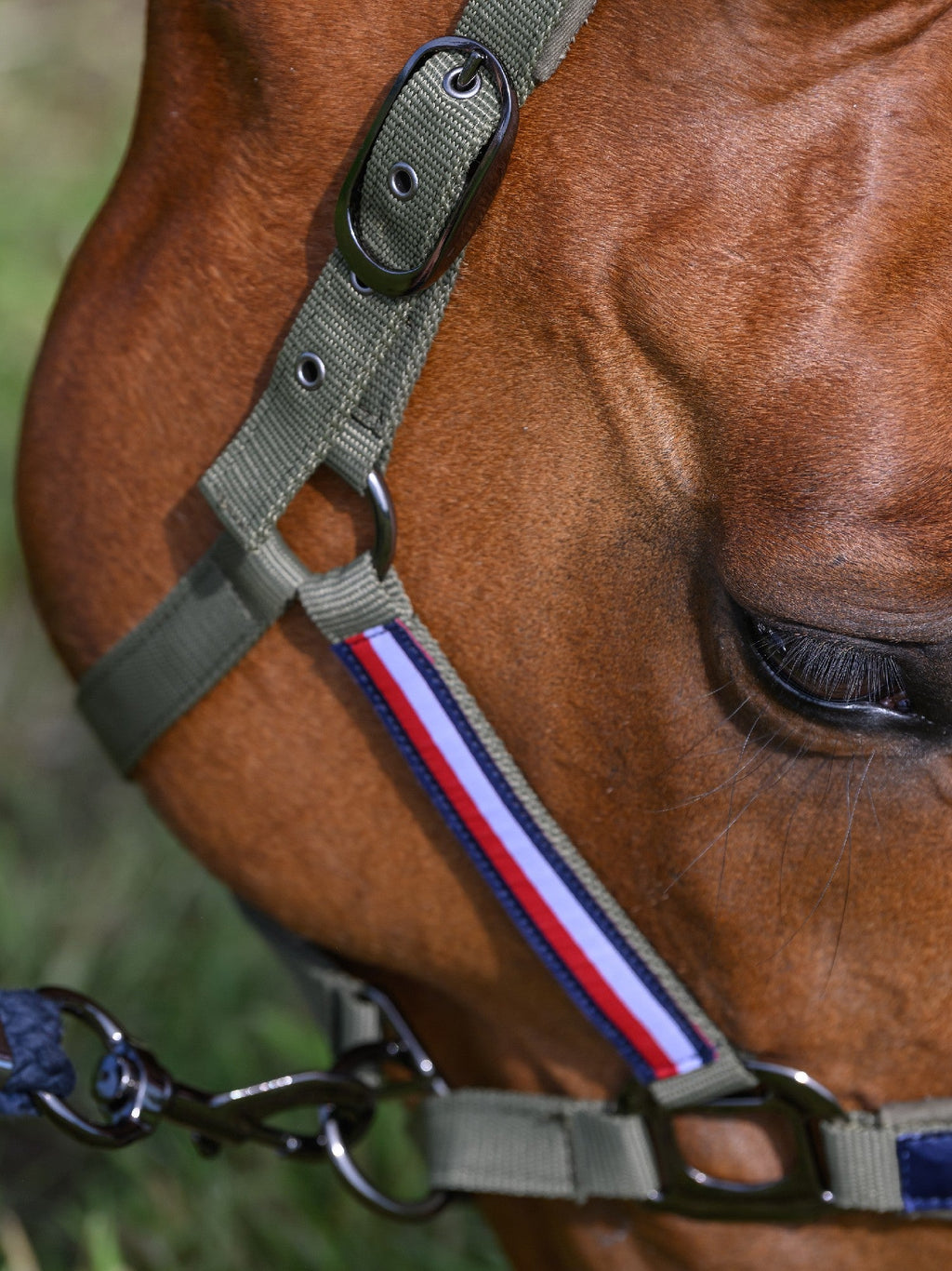 Headstall Tommy Hilfiger Lincoln Utility Olive