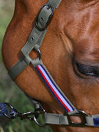 Headstall Tommy Hilfiger Lincoln Utility Olive