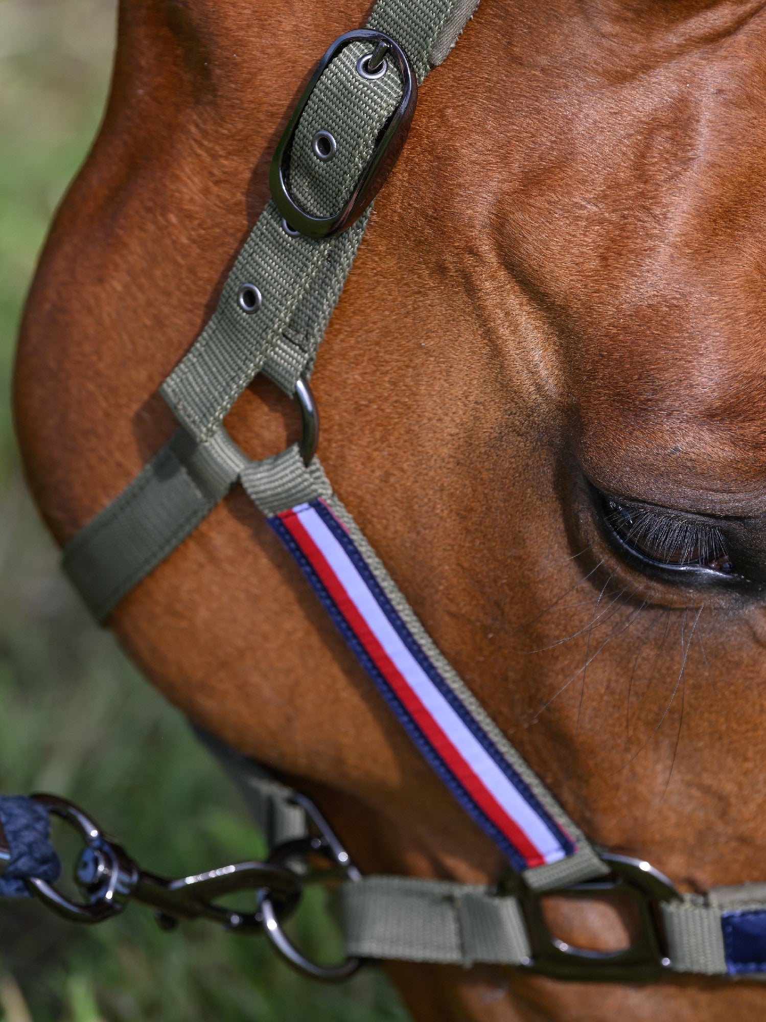 Headstall Tommy Hilfiger Lincoln Utility Olive