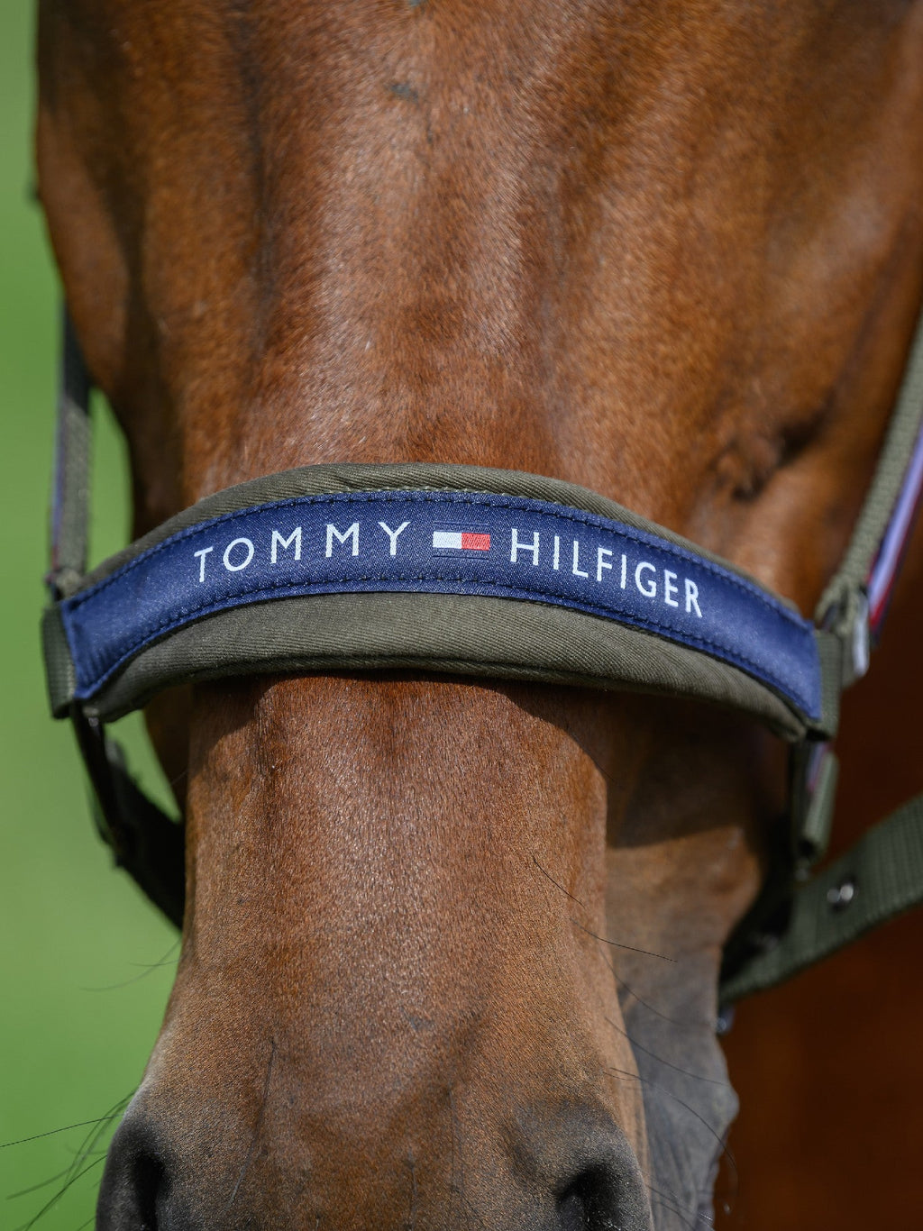 Headstall Tommy Hilfiger Lincoln Utility Olive