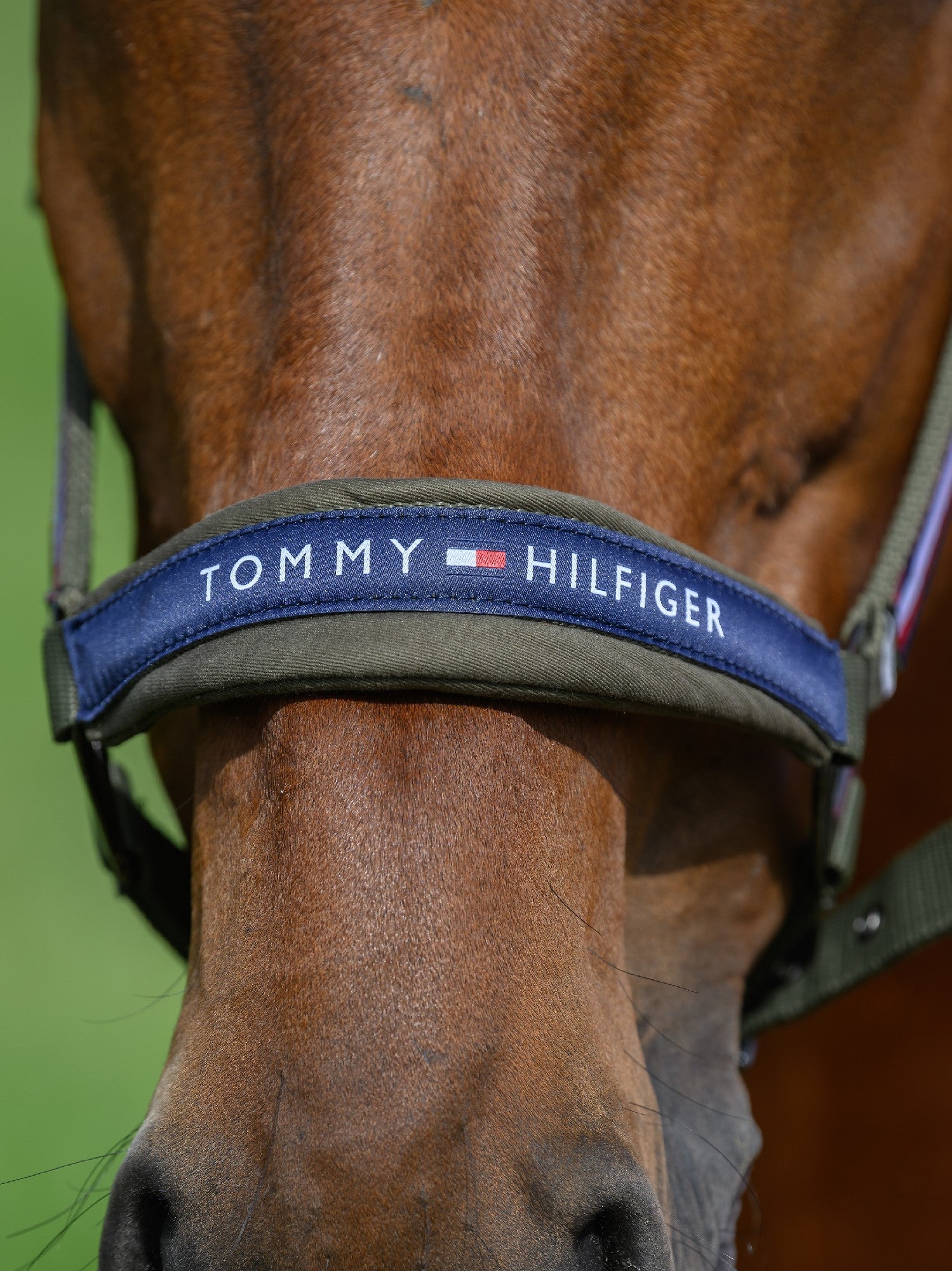 Headstall Tommy Hilfiger Lincoln Utility Olive
