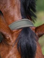Headstall Tommy Hilfiger Lincoln Utility Olive