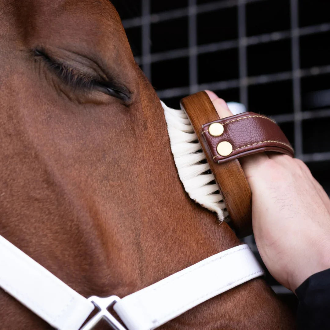 Hairy Pony Original Brush Kit