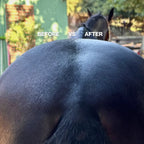 Hairy Pony Premixed Essential Oil Coat Conditioner