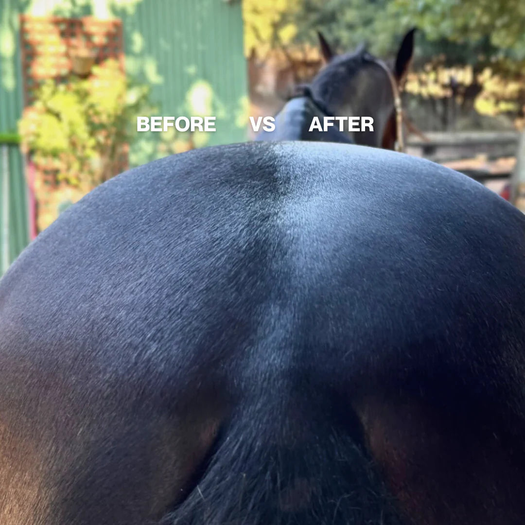 Hairy Pony Premixed Essential Oil Coat Conditioner