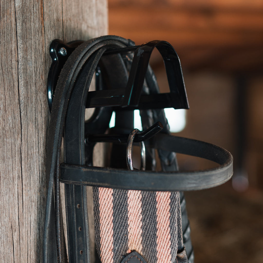 Academy Bridle Rack