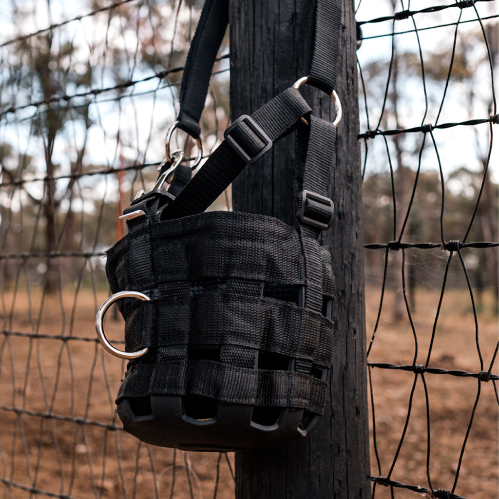 Eurohunter Grazing Muzzle