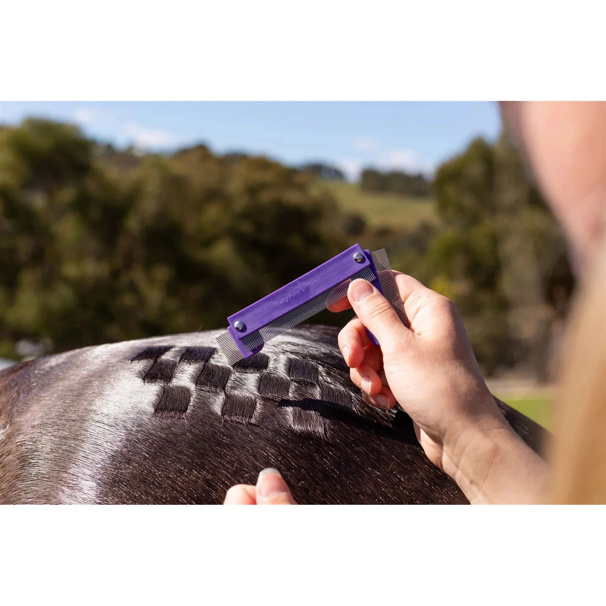 Hairy Pony Quarter Mark Kit