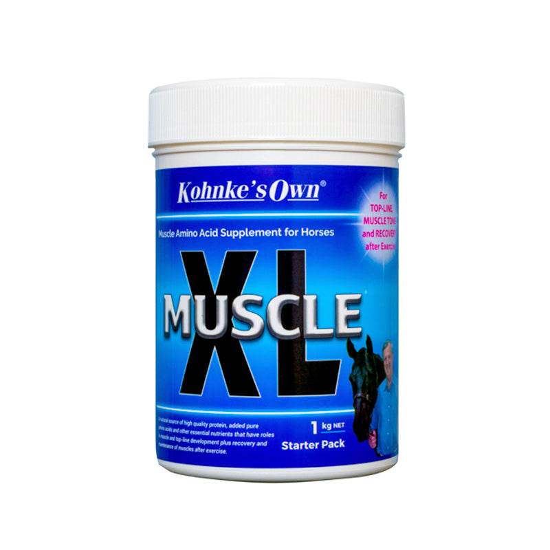 Kohnke's Own Muscle XL – Albury Saddleworld