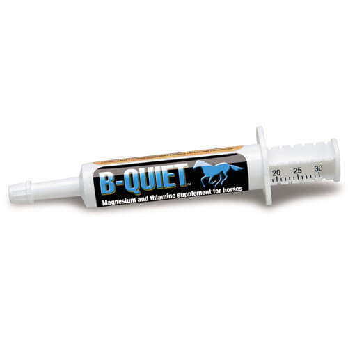 B Quiet Paste 2pack Kentucky Equine Research 2 X 30gm