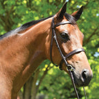 Eurohunter Show Snaffle